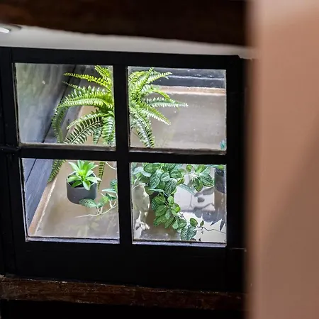 Sous Le Des Remparts *