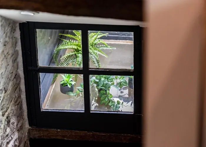 Sous Le Des Remparts *